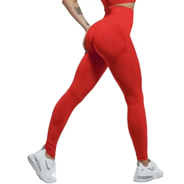 MUJER SEAMLESS FITNESS LEGGING