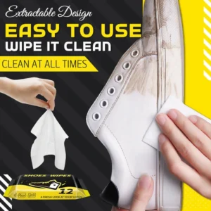 Portable Disposable Cleaning Wipes (12 PCS/BAG)