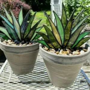 (Last Day Flash Sale-50% OFF)Suncatcher Stained Agave Plante