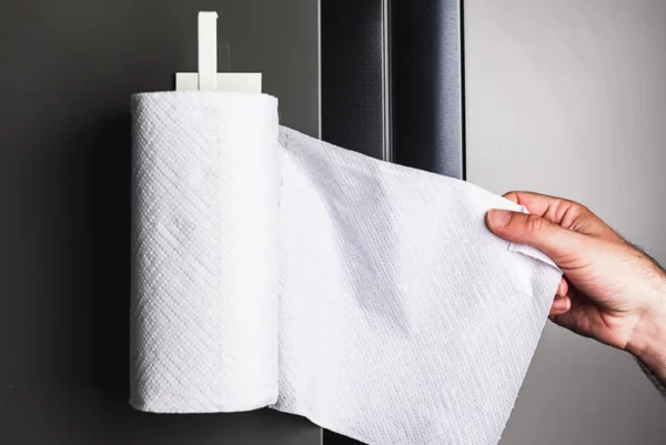 MOUNTED PAPER TOWEL HOLDER