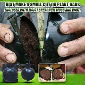 REUSABLE PLANT ROOT GROWING BOX