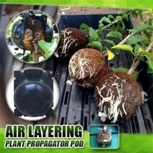 REUSABLE PLANT ROOT GROWING BOX