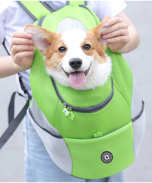 Dog Backpack & Relieve separation anxiety in dogs