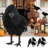 Black Crow Halloween Home Decor