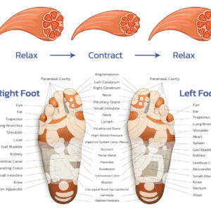 EMS Bioelectric Acupoints Massager Mat