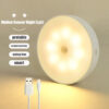 Energy-Efficient LED Motion Sensor Light