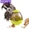 Interactive Pet Food Tumbler Dispenser