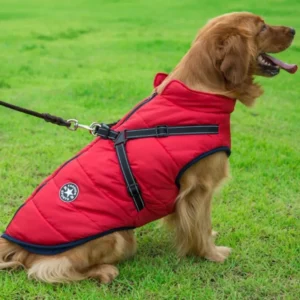 Waterproof Winter Jacket with Built-in Harness