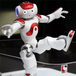 Gesture Sensing Smart Robot