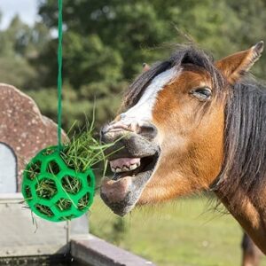 Horse Treat Ball