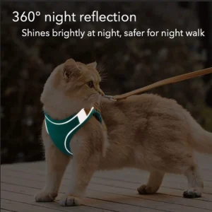 Luminous Cat Vest Harness and Leash Set