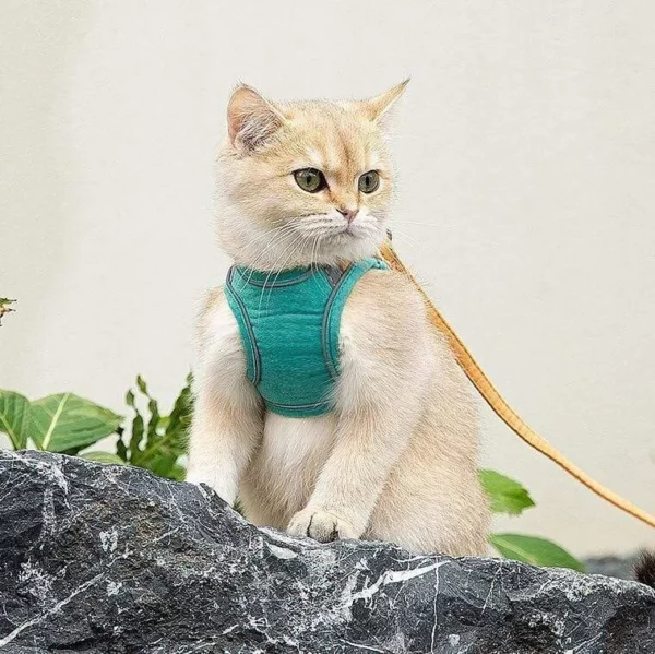 Luminous Cat Vest Harness and Leash Set