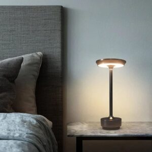 Metallic Cordless Table Lamp