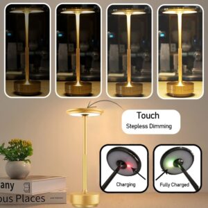 Metallic Cordless Table Lamp