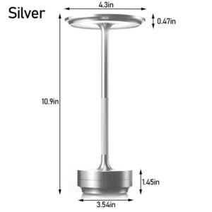 Metallic Cordless Table Lamp