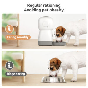 Pet Kibble Dispenser