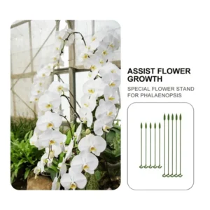 Plant Support Stake（10 Pcs）