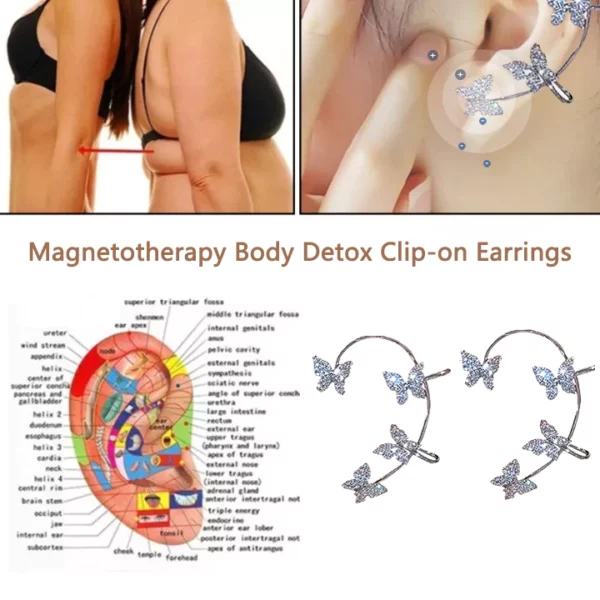 Beautification™ Magnetotherapy Body Detox Clip-On Earrings