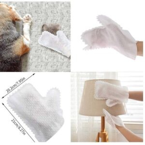 Dust Removal Gloves