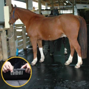 HorseStall™ Mat Connectors