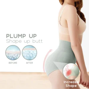 SlimSHAPE™ High Waist Sculpting Panty