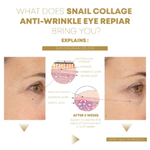 SnailCollagen AntiWrinkle EyeRepair Cream