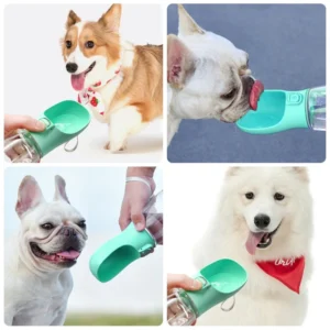 The Pet Water Bottle