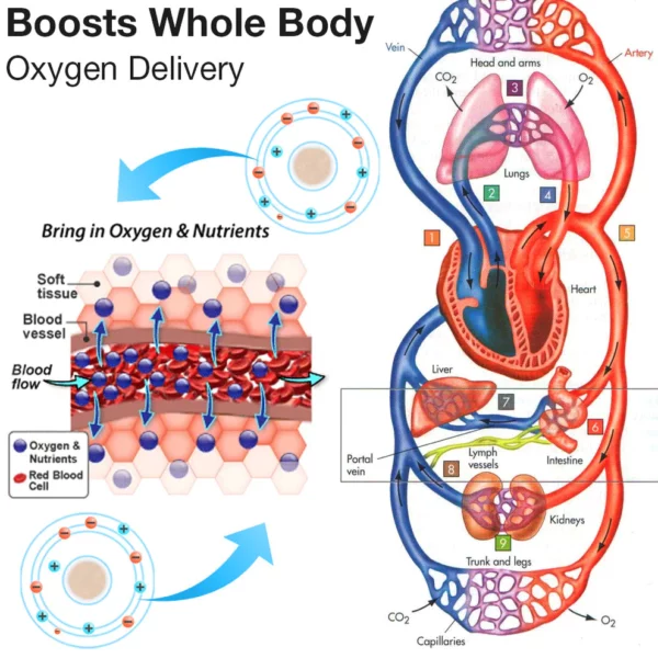 Ultra Strength Magnetic Spot Therapy Patch