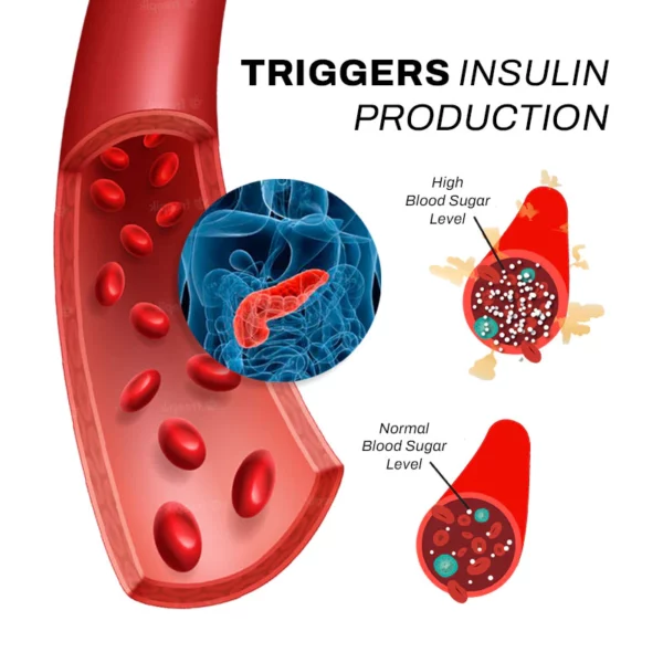 AcuRelief SugarController Acupoint Clip