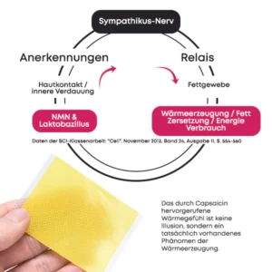 BodiFix Wiederherstellen & Straffen Oberschenkelwickel