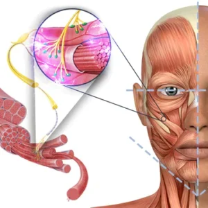 GFOUK™ EMSculpt Schlafendes V-Gesicht Schönheitsgerät