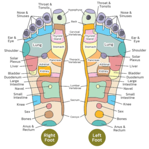 Herbal Detox Origin Foot Soak Beads