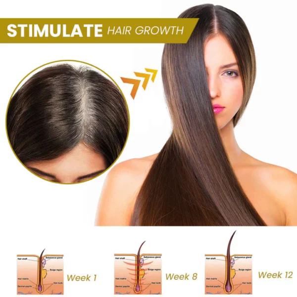 Shouga Hair Growth Powder