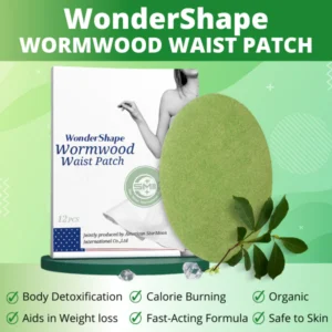 WonderShape Wormwood Waist Patch