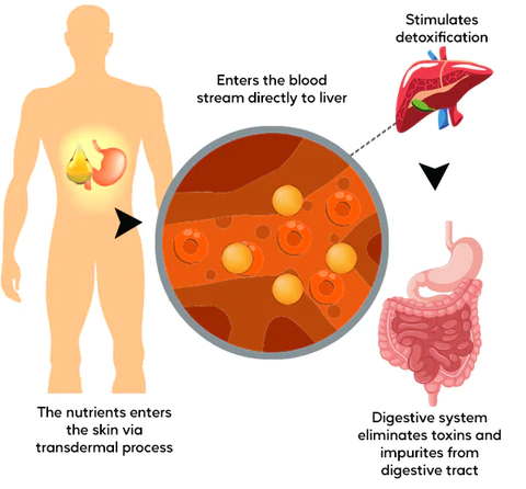 AEXZR™ Stomach Relief Oil
