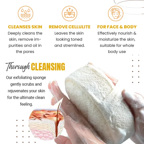 StemSpa™ Nanocell Exfoliating Sponge - Image 7