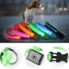 The Pethouse infrared pet electromagnetic collar