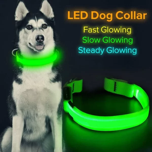 The Pethouse infrared pet electromagnetic collar - Image 2