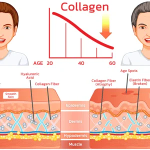 flysmus™ Serum Protein Collagen Lifting Ampoule