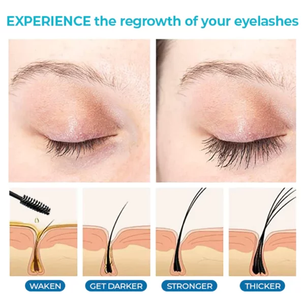 LANTHOME™ Natural Castor Eyelashes Growth Essential Oil - Image 3