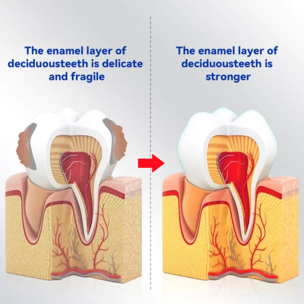 Oraliz™ Anti-Cavity Gum Health Toothpaste - Image 3