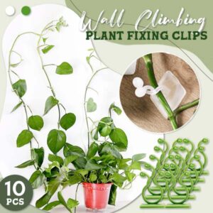 Wall Climbing Plant Fixing Clips