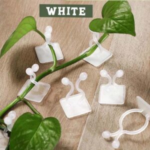 Wall Climbing Plant Fixing Clips