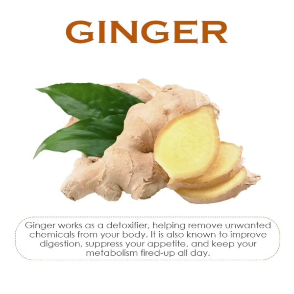 ATTDX AntiSwelling LympDetox GingerCream - Image 4