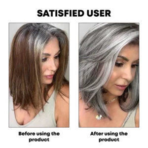 ATTDX Instant SilverGray Hair Dye