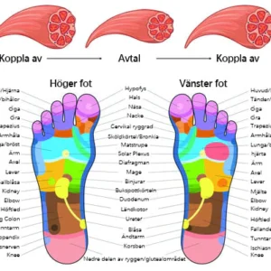 Bio-EMS Akupunktur Fotmassagekudde