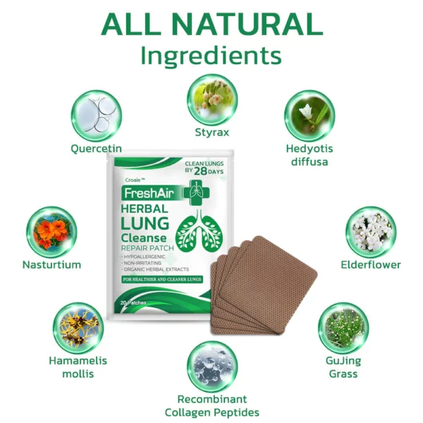 Croaie™ FreshAir Herbal Lung Cleanse Repair Patch - Image 6