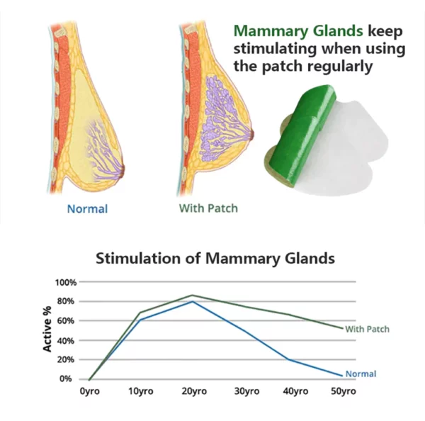 Fivfivgo™ Breast Enlargement & Firming Patch