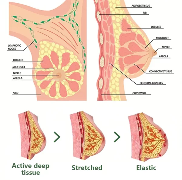 Fivfivgo™ Breast Enlargement & Firming Patch