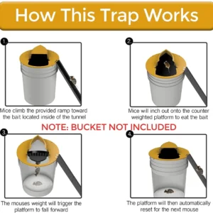 Perfect Bucket Lid Mouse Trap